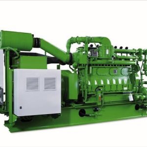Biogas generators