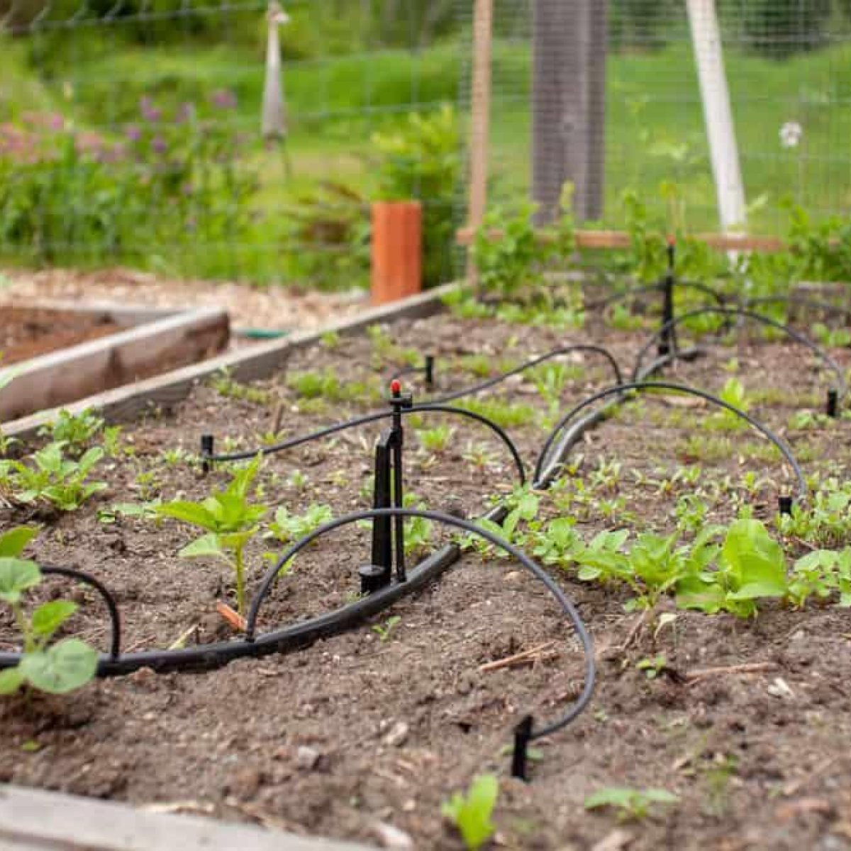 Drip Irrigation Systems