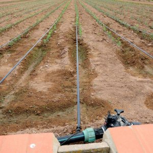 Drip Irrigation Systems