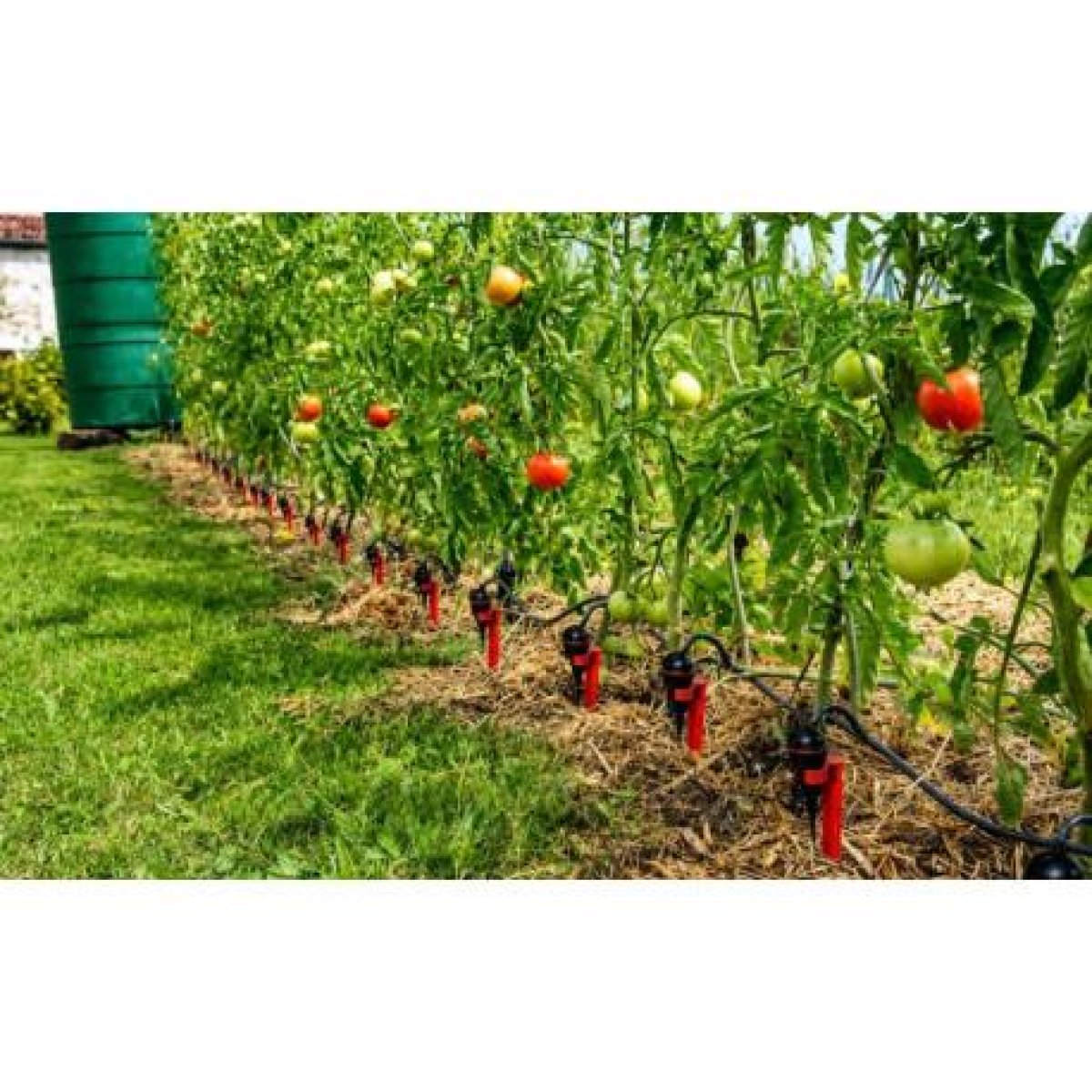 Drip Irrigation Systems