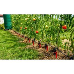 Drip Irrigation Systems