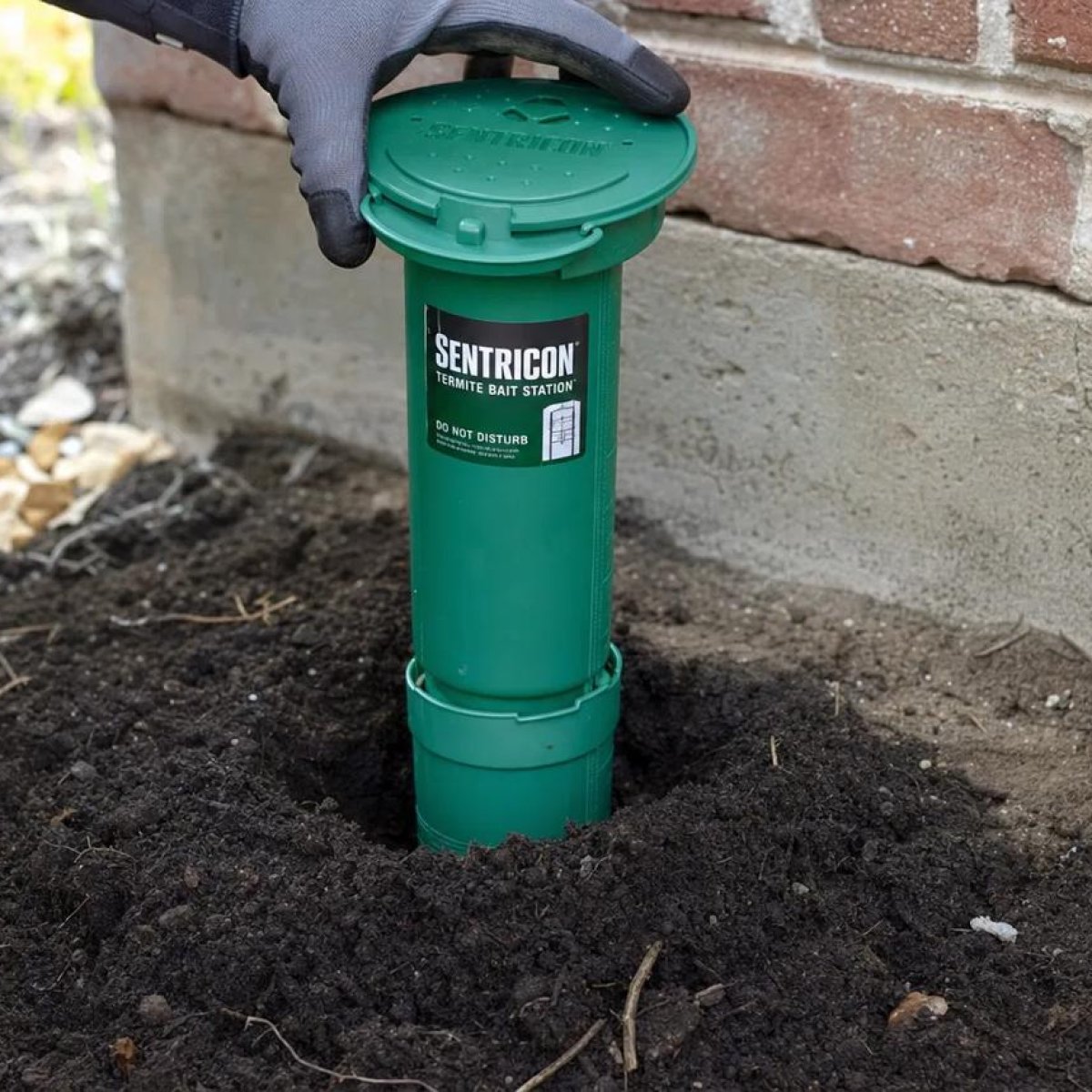 Termite Control Products