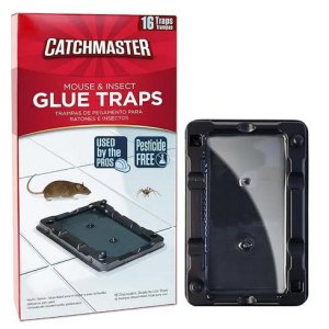 Traps & Bait Stations