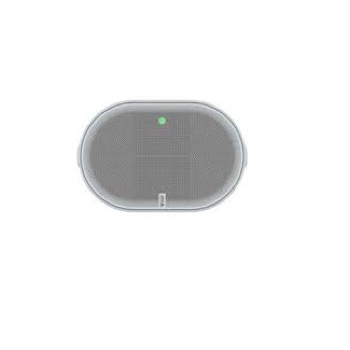 Network Strobe Siren