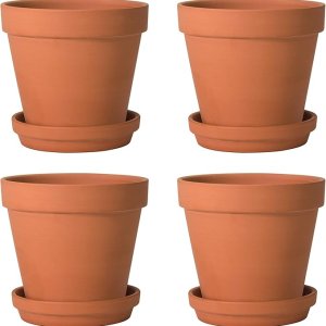 Clay Pots with Tray