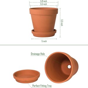 Clay Pots with Tray
