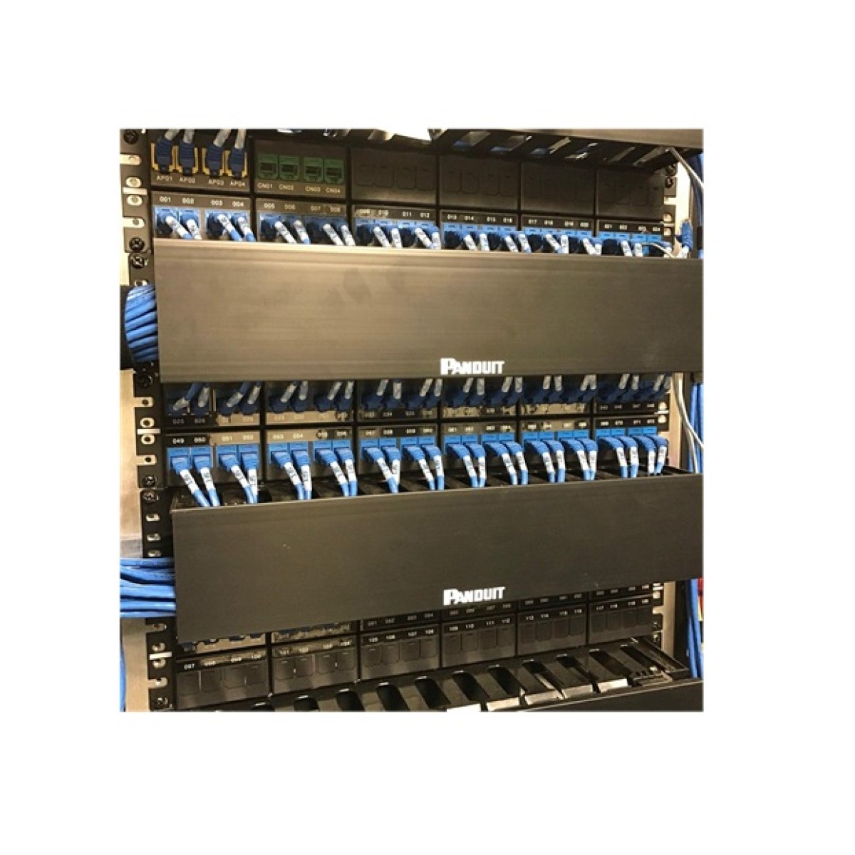 Cable and Port Labeling