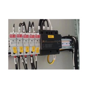 Main Power Surge Protection Device (SPD)