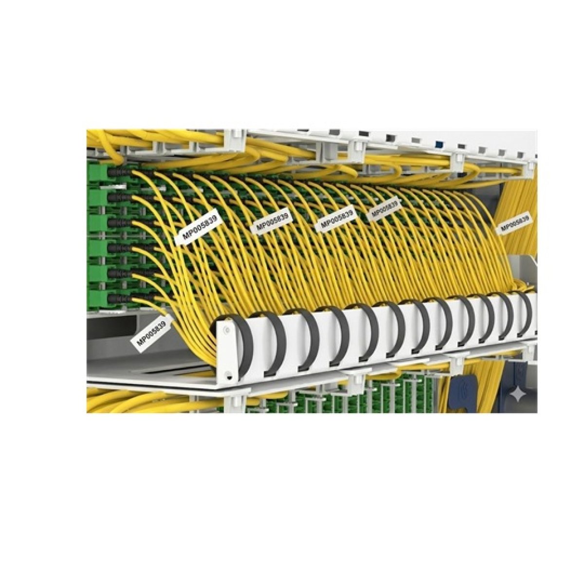 Port Identification Labels