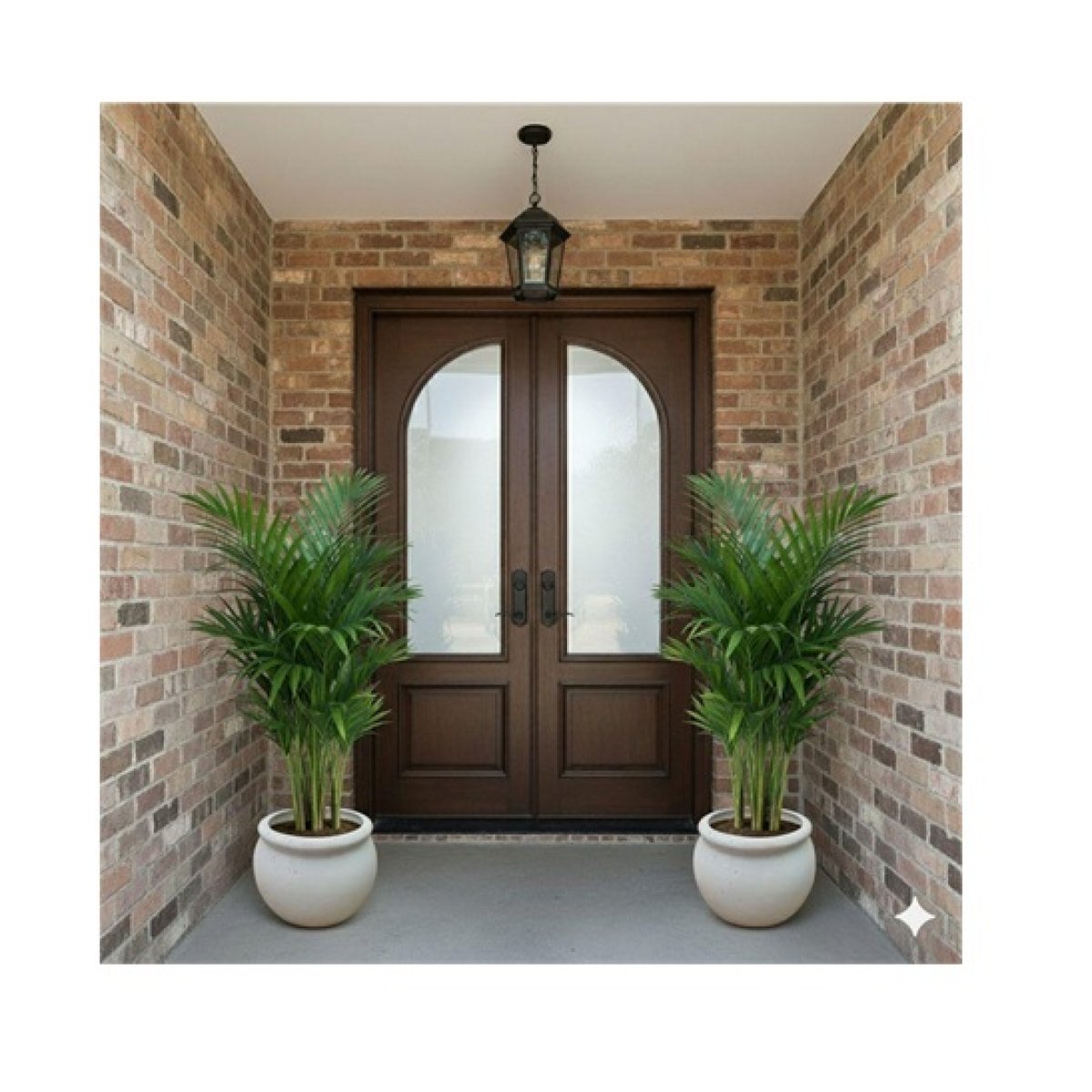Areca Palm