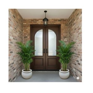 Areca Palm