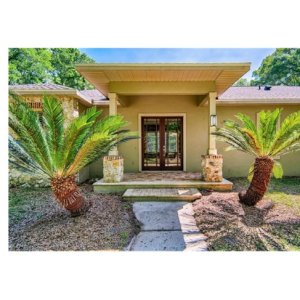 Cycas