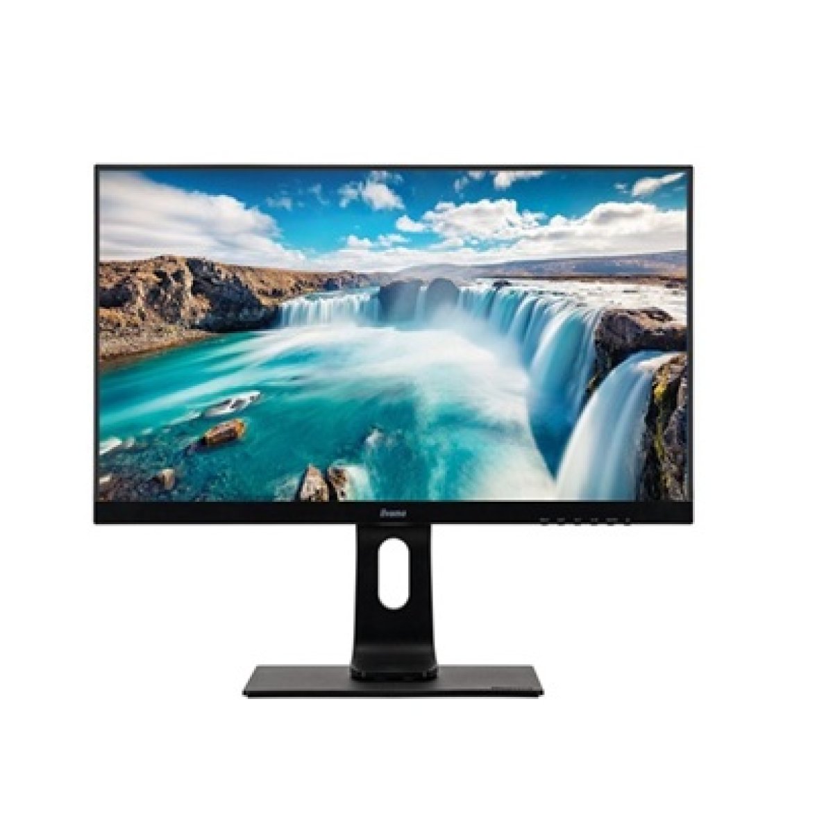 Monitor