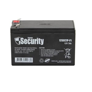 Backup Battery (SMF)