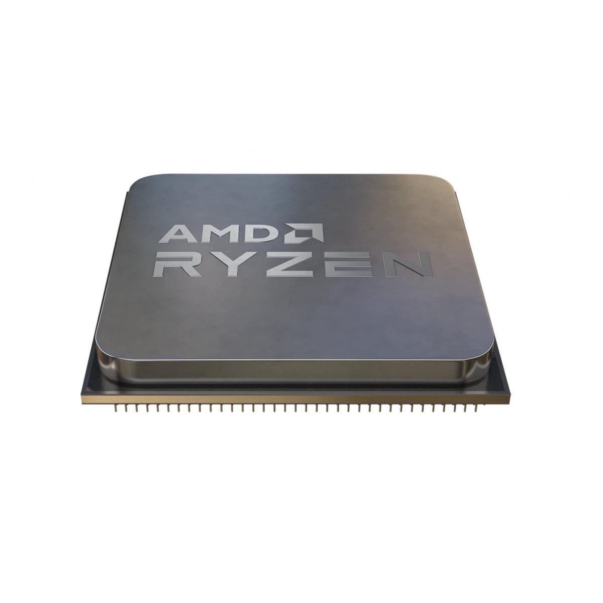 Processor (CPU)