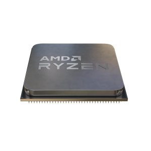 Processor (CPU)