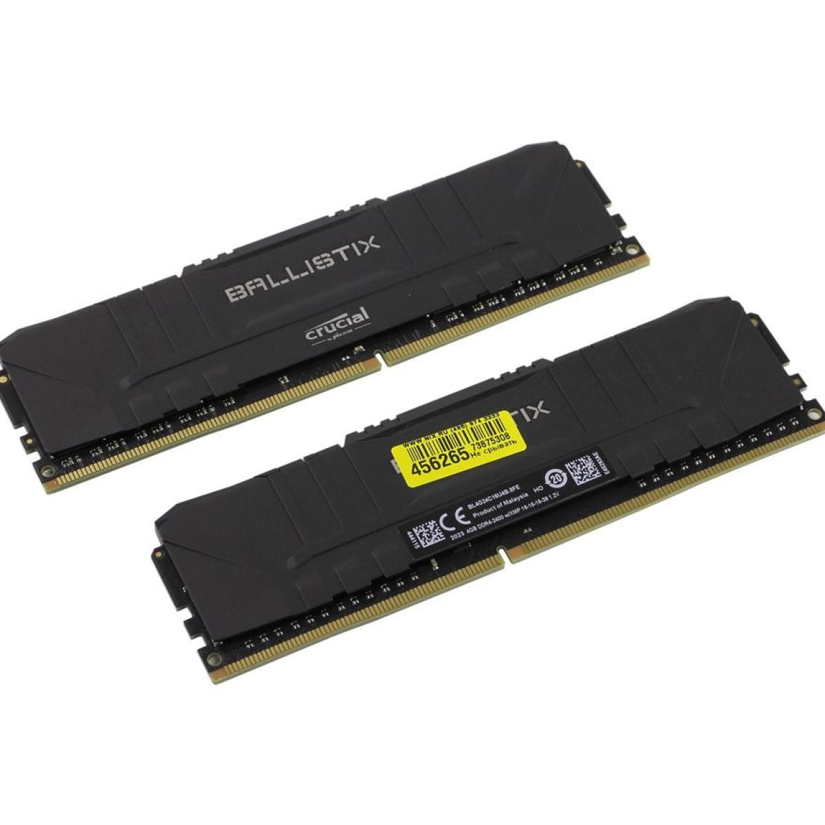 RAM (Random Access Memory)