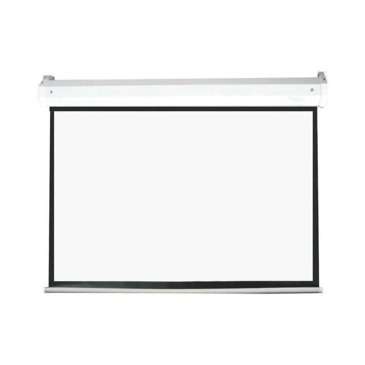 Projector Screens