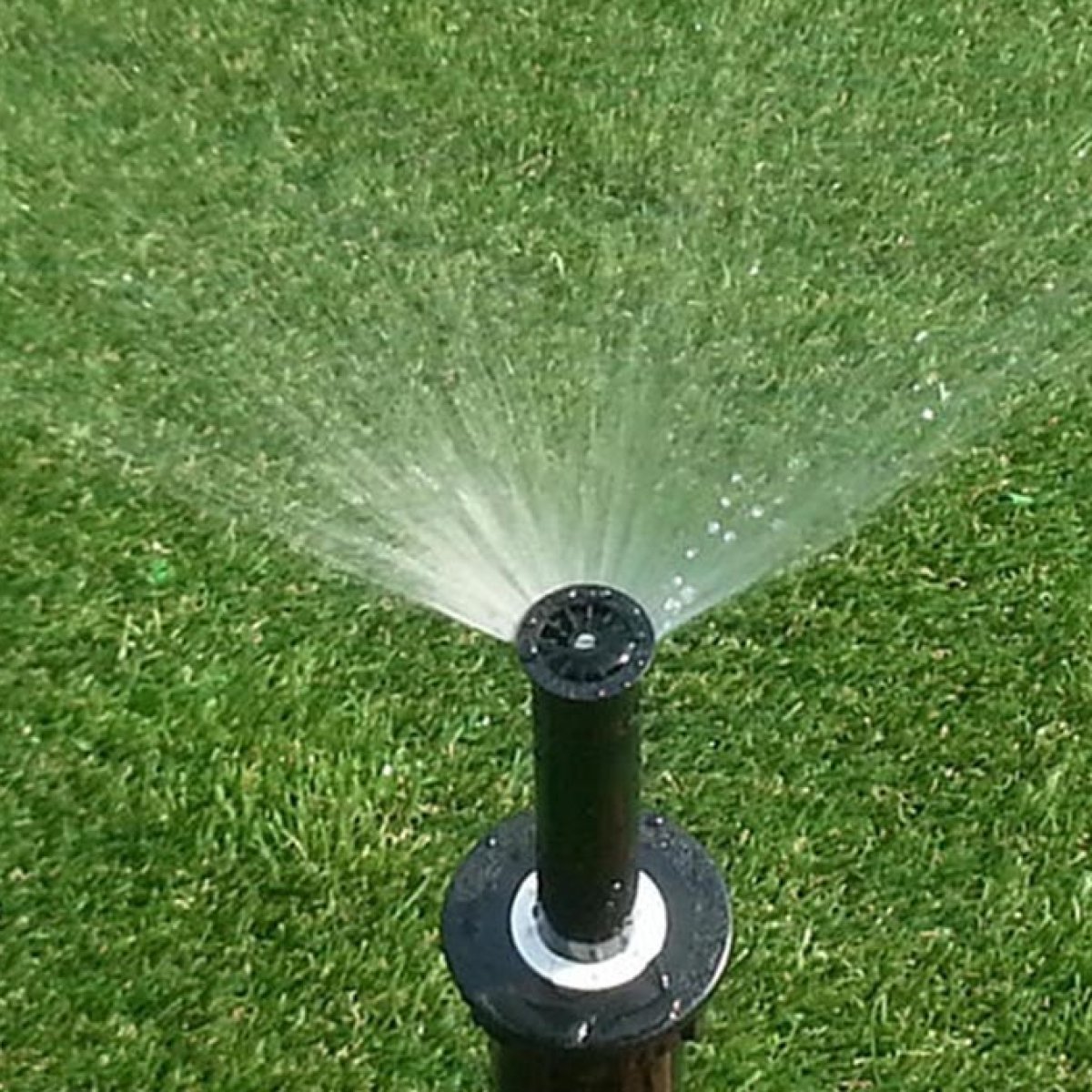 Garden Sprinkler