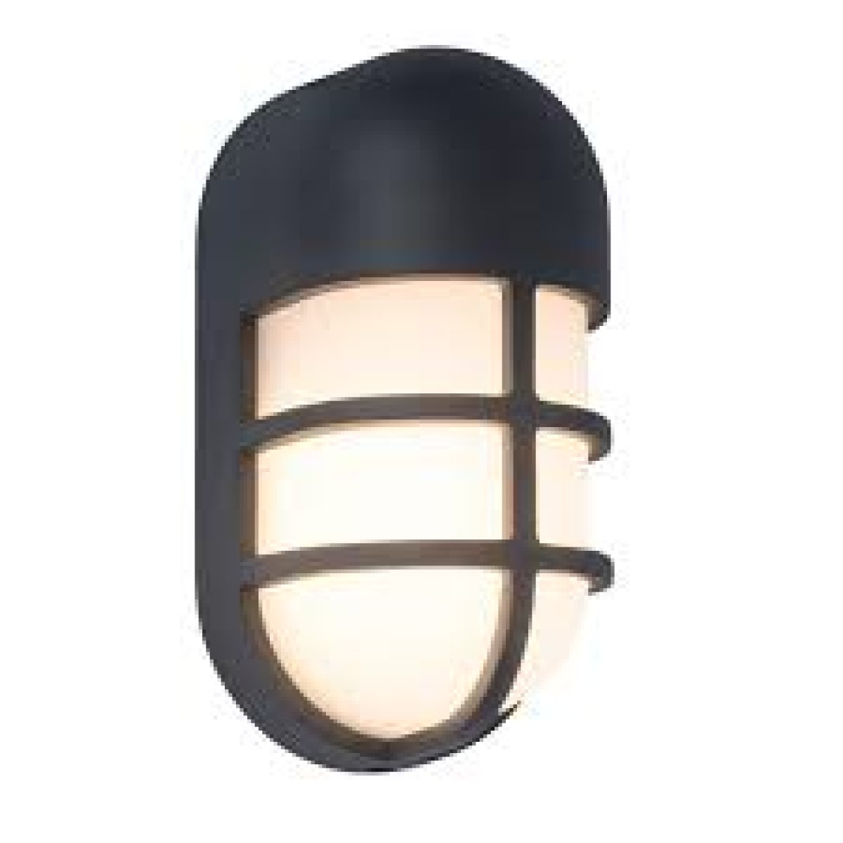 Outdoor Wall Light