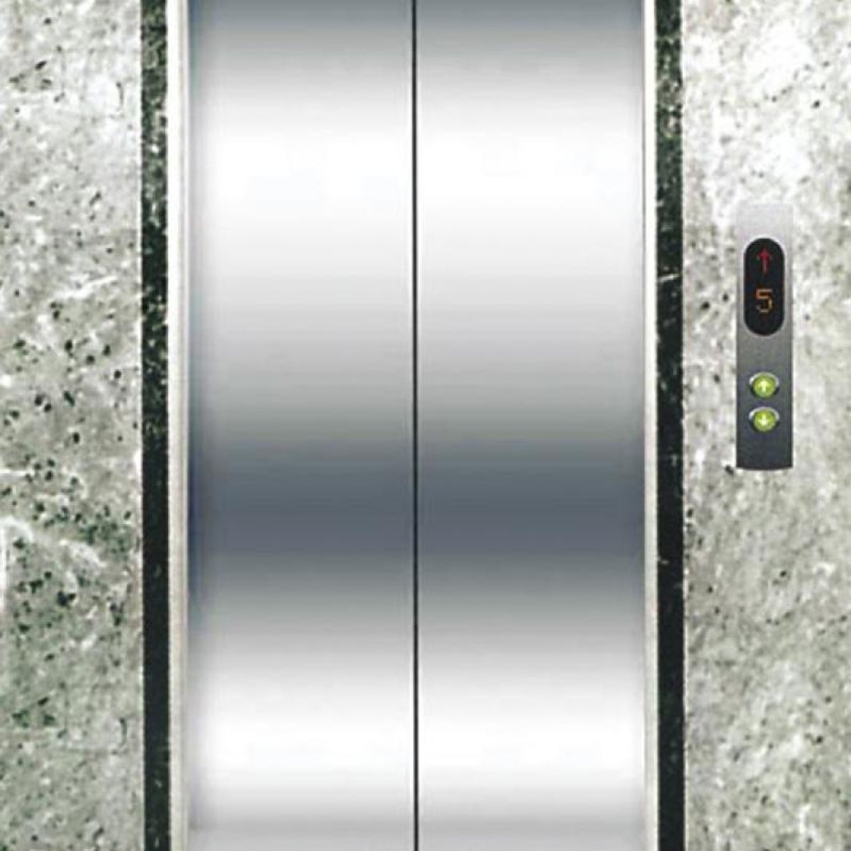 Landing Doors