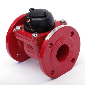 Swing Check Valve