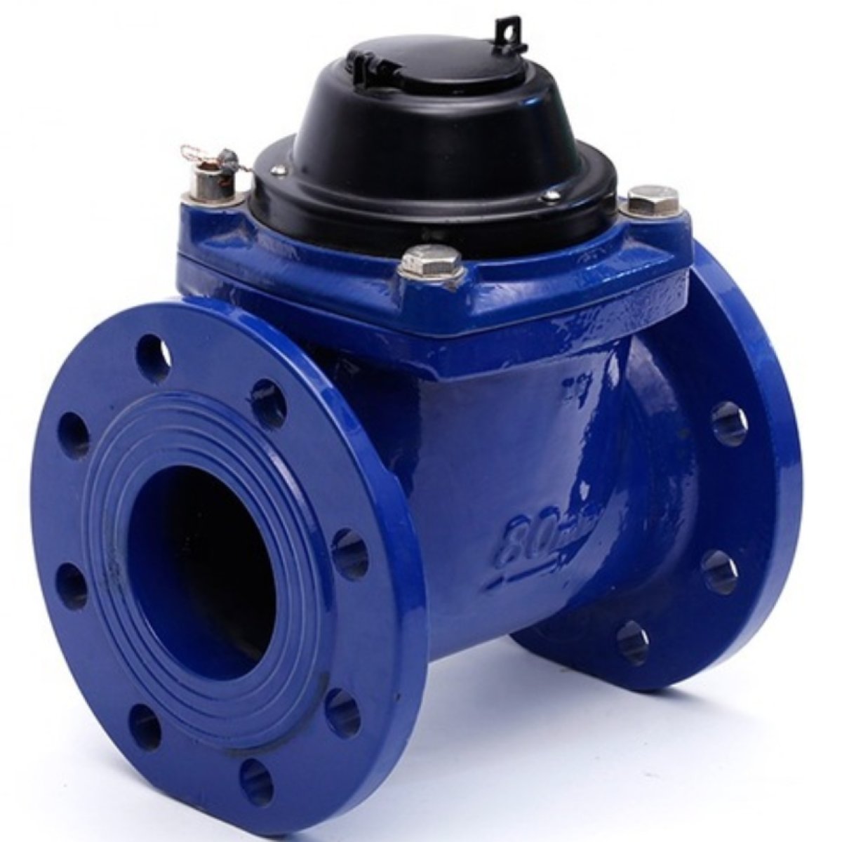 Swing Check Valve