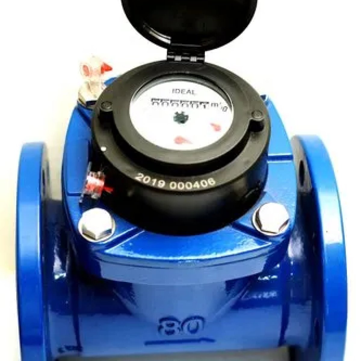 Swing Check Valve