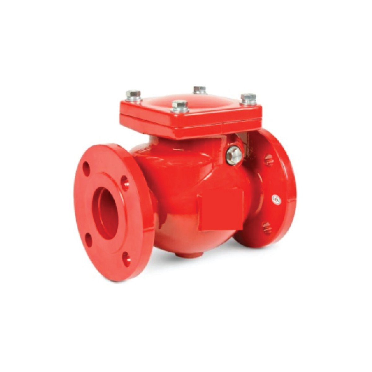 Swing Check Valve