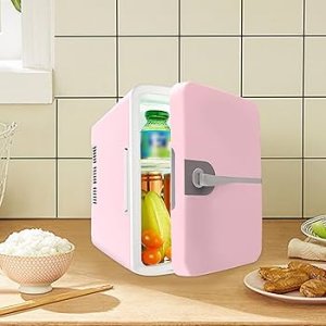 Portable Refrigerator