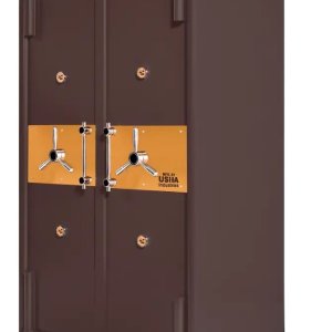 Safety Vault