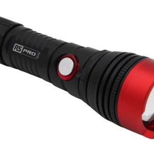 Torch Light