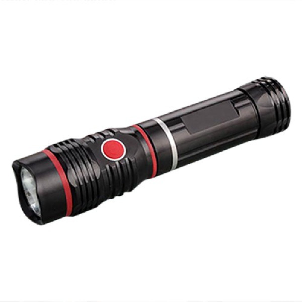 Torch Light