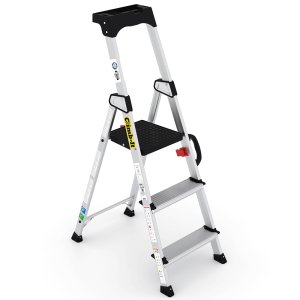 Ladder