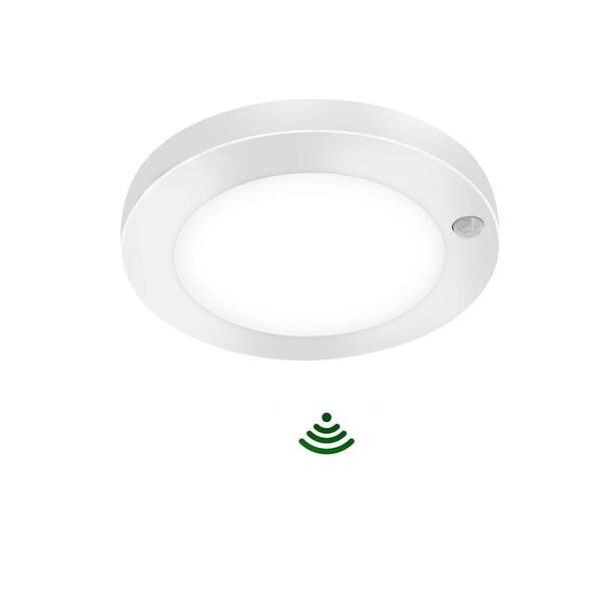 Ceiling Light