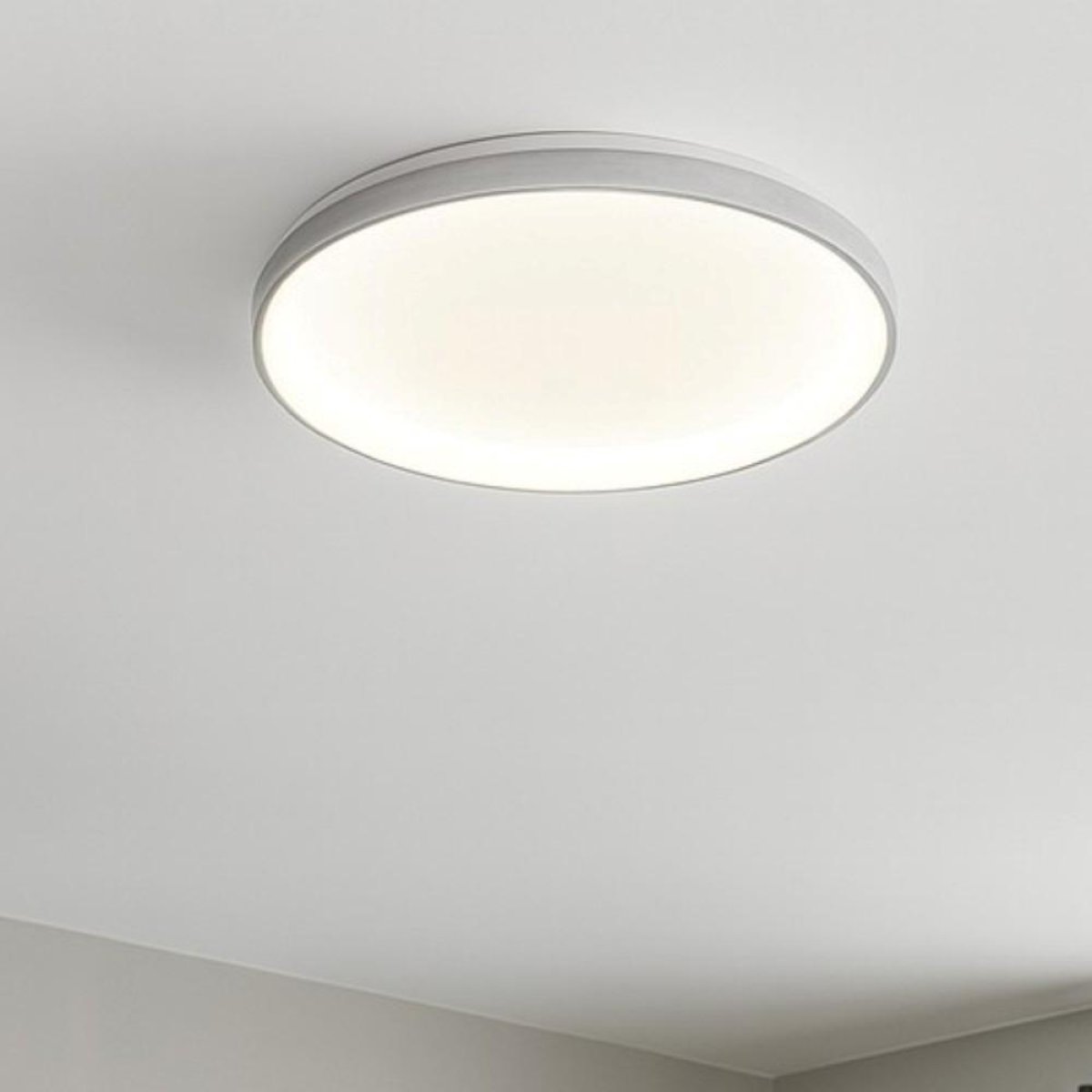 Ceiling Light