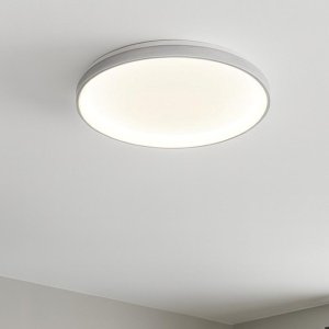 Ceiling Light