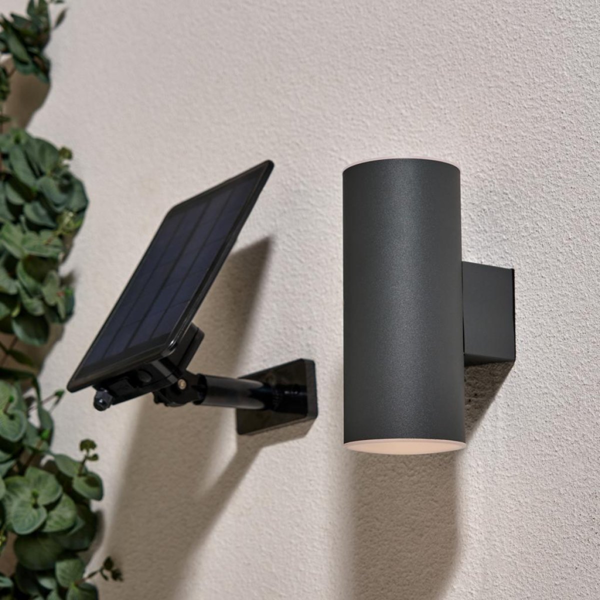 Wall Light