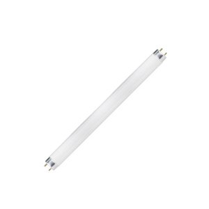 Tube Light