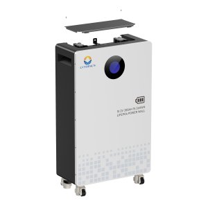 Photovoltaic Energy Storage Lithium Ion-Battery