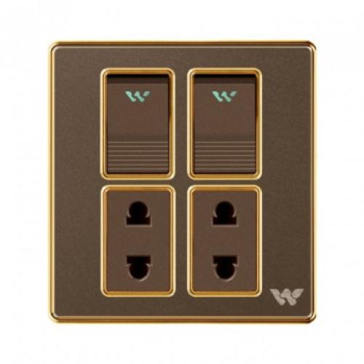 DOUBLE 2 PIN SOCKET WITH SWITCH