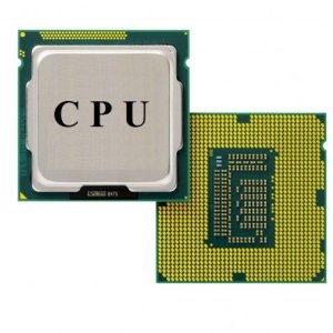 Processor (CPU-Central Processing Unit)