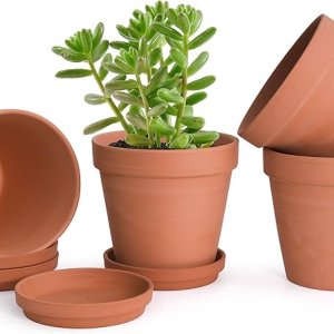 Clay Pots with Tray