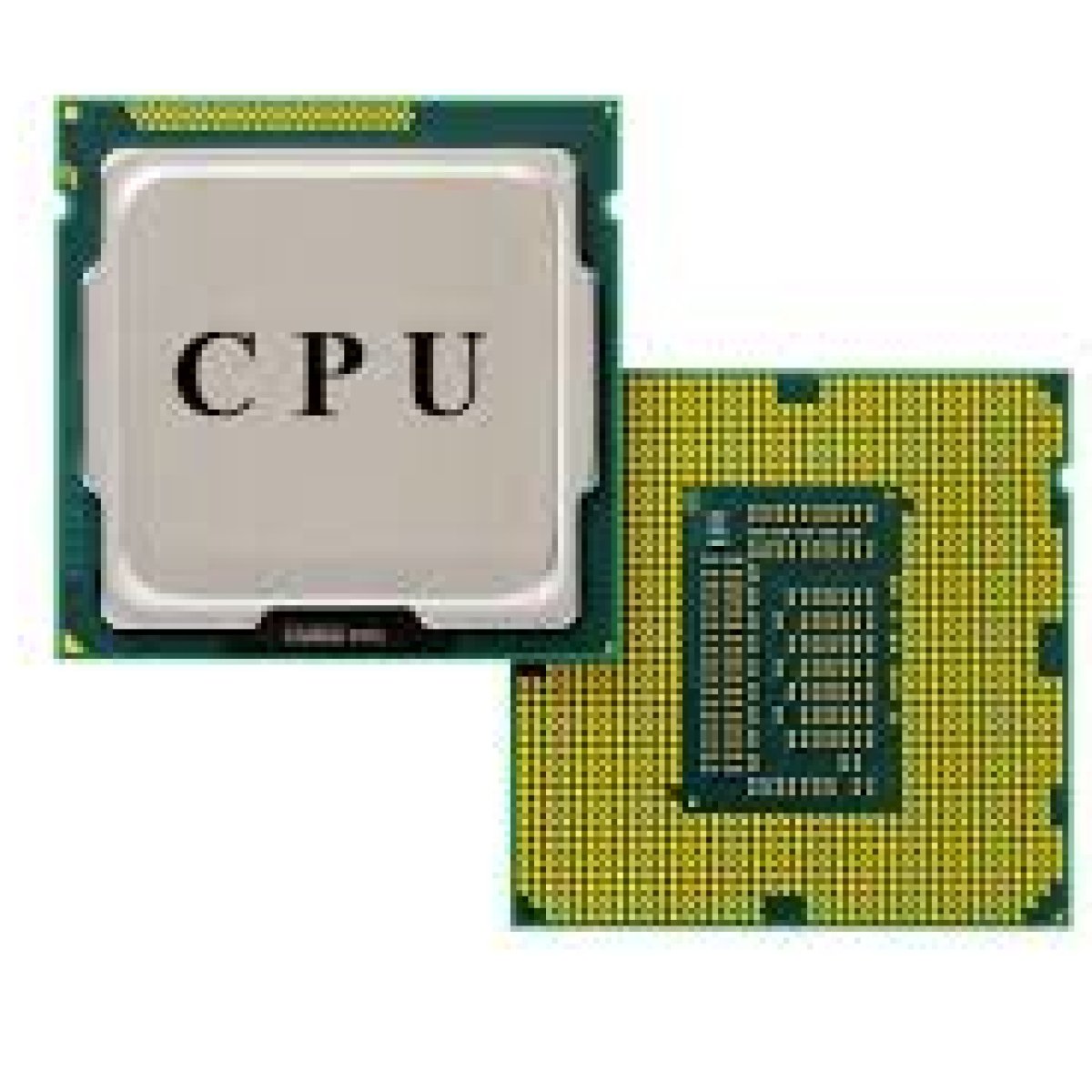Processor (CPU)