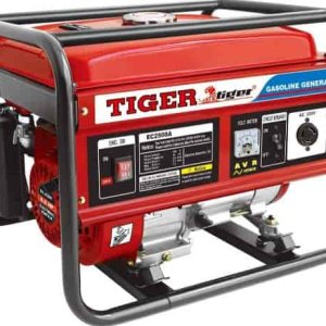 Portable Gasoline Generator