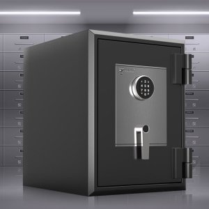Safety Vault