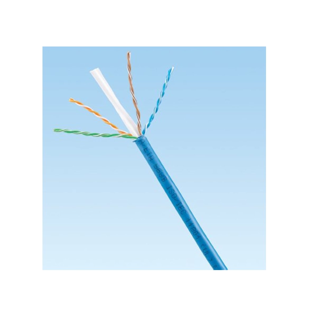 Cat6 UTP Cable