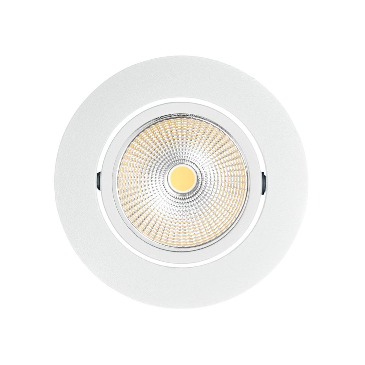 Spot Light