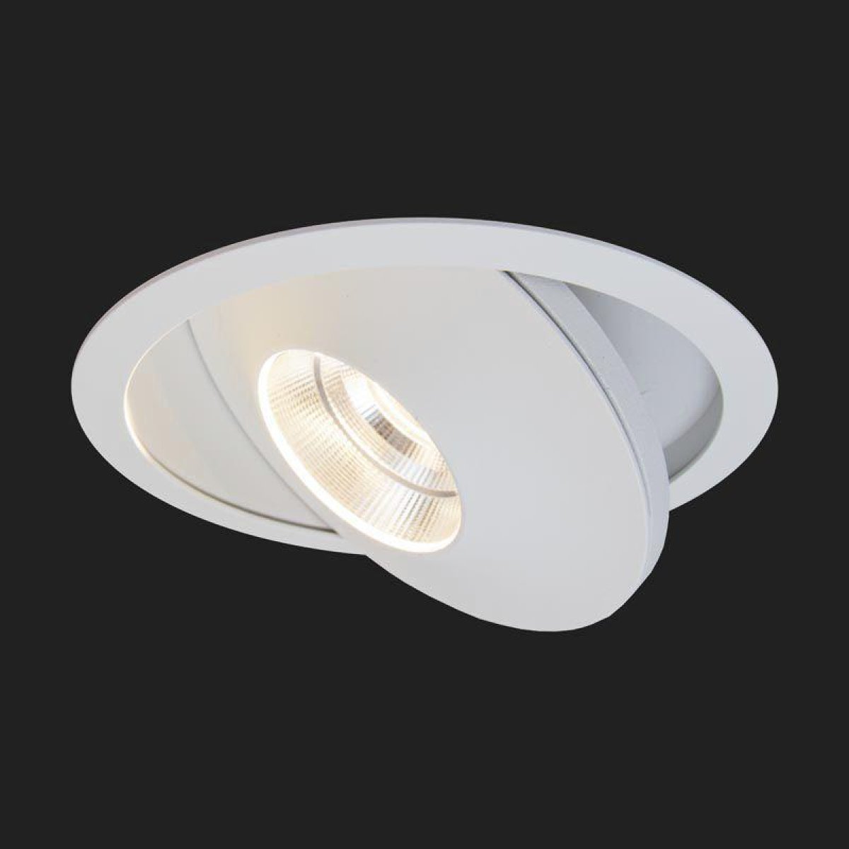 Ceiling Light