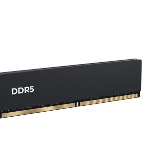 RAM (Random Access Memory)